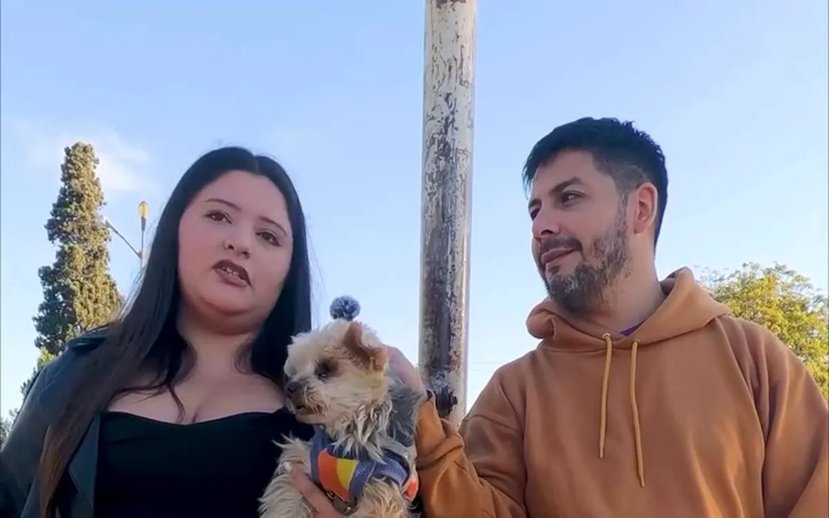 Jornada de grabación en Gema Salud Animal
